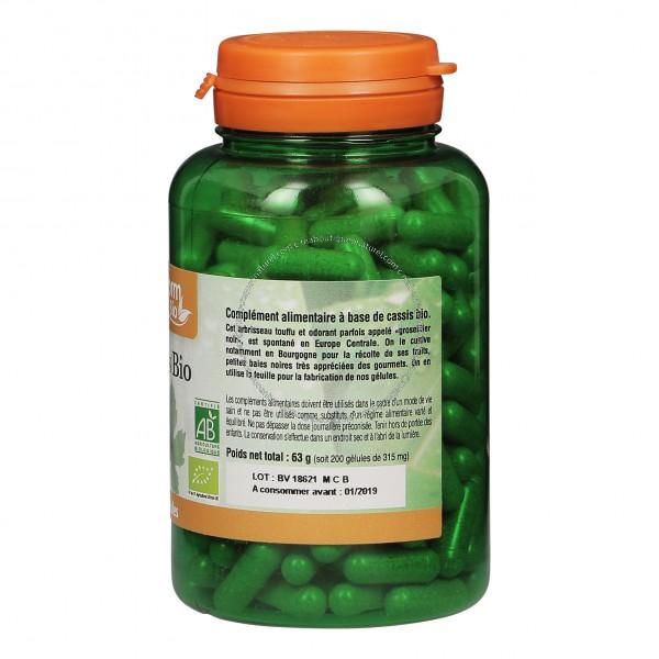 Cassis Bio