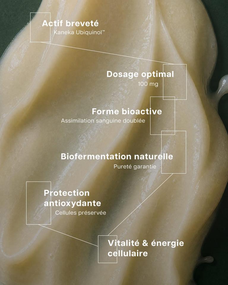 Ubiquinol Co-enzyme Q10 réduit