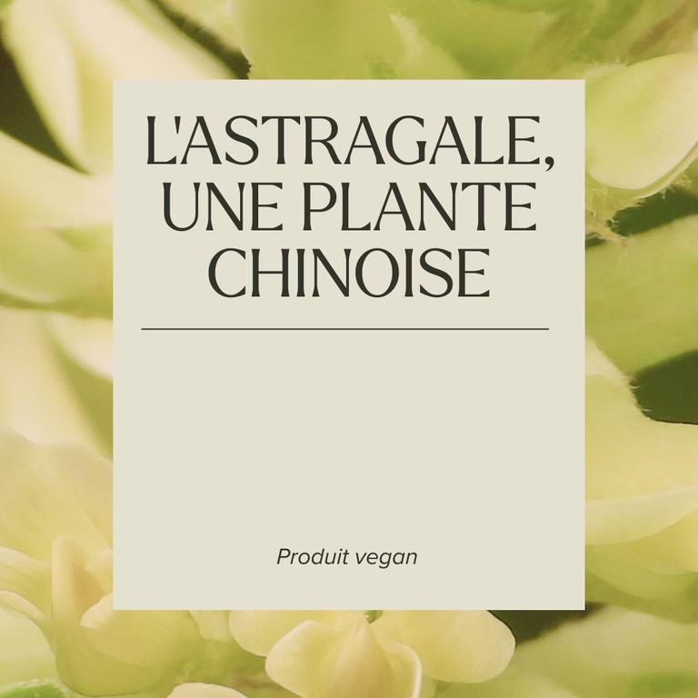 Astragale 600 mg