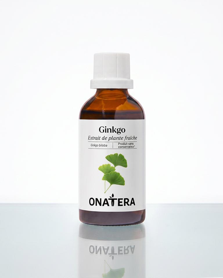 Ginkgo Biloba Bio Extrait de plante fraîche