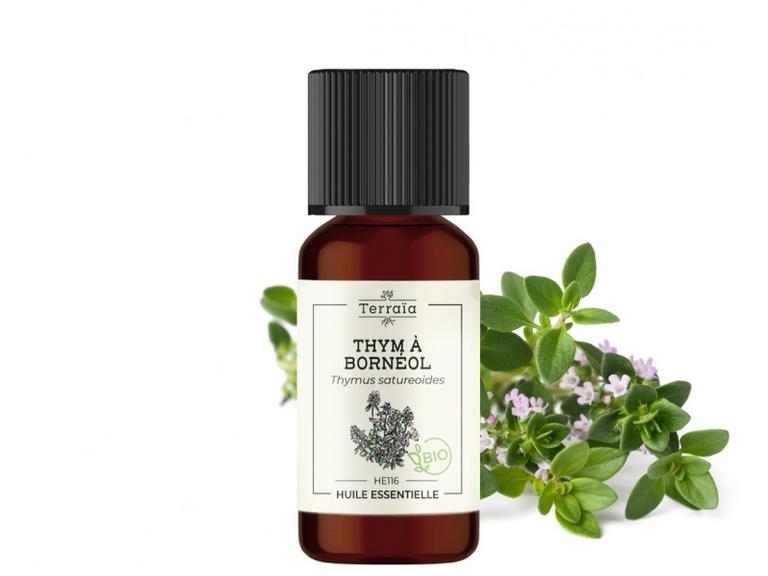 Huile essentielle Thym à bornéol Bio