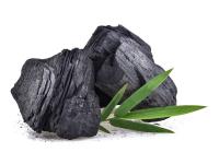 Charbon végétal actif Bio