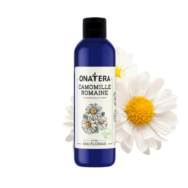Eau florale Camomille romaine Bio