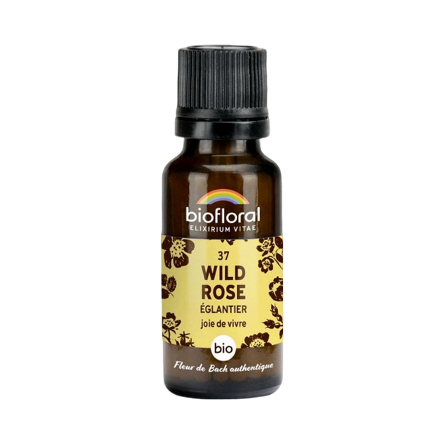 Fleur de Bach Wild Rose n° 37 granules Bio