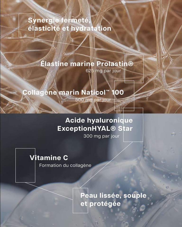 Pack skin structure & hydratation