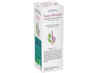 Sauge Bio Extrait de plante fraîche