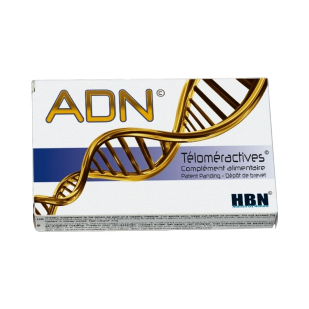 ADN téloméractives