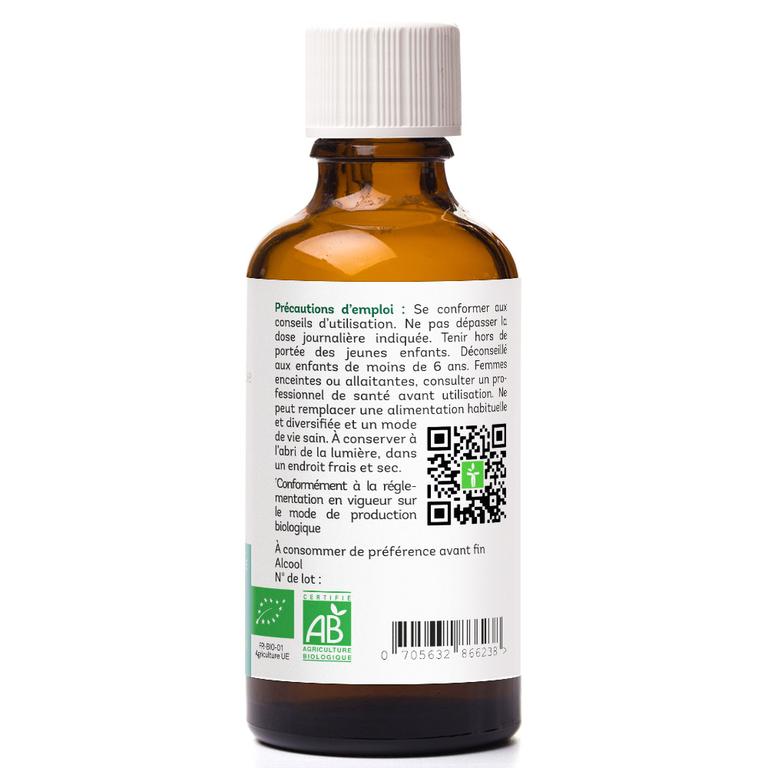 Achillée Millefeuille Bio Extrait de plante fraîche