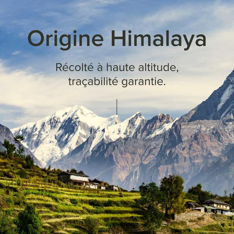 Shilajit premium 70%