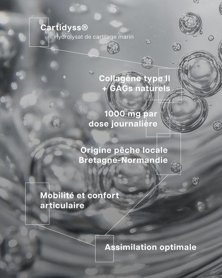 Collagène marin de type II, 1000 mg