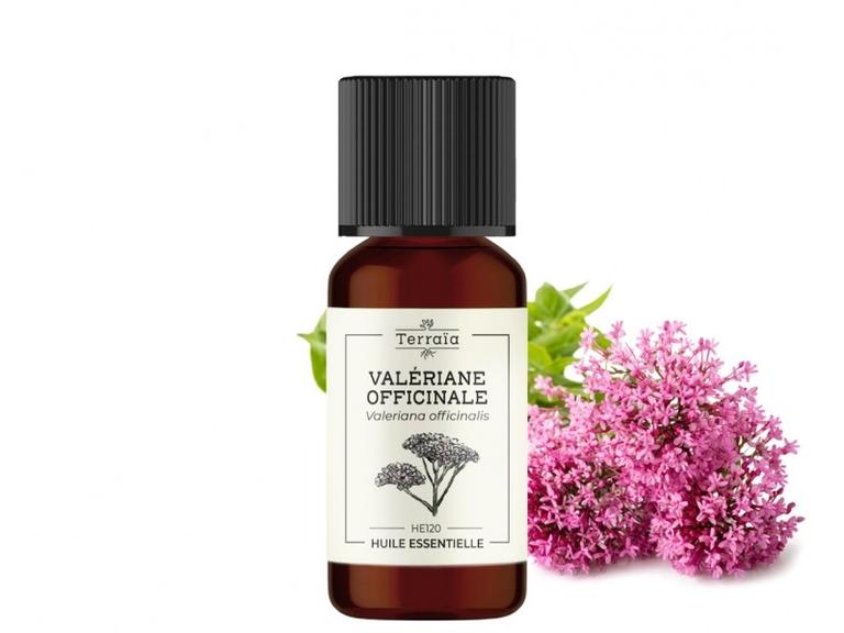 Huile essentielle Valériane officinale