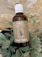 Figuier Bourgeons Bio