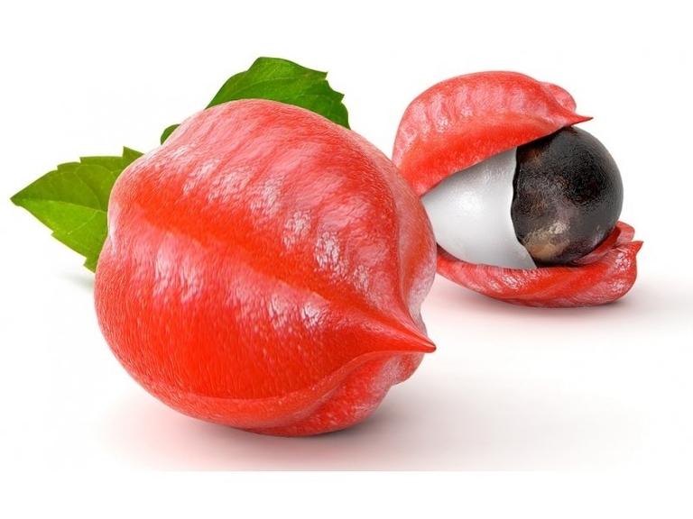 Guarana