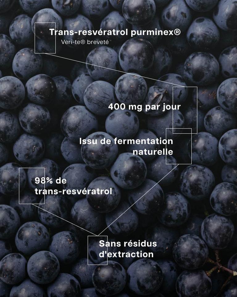 Resvératrol premium