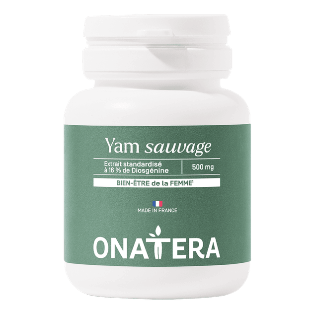 Yam 500 mg
