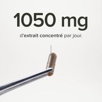 Chaga Bio