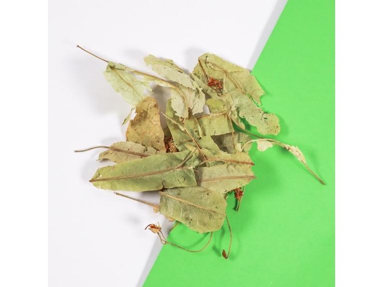 Tilleul Bractée et Fleur Bio
