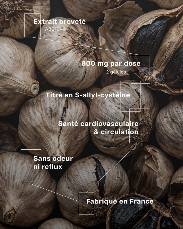 Ail Noir Vieilli Titré 800 mg