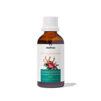 Harpagophytum Bio Extrait de plante fraîche