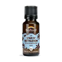 Fleur de Bach Star Of Bethlehem n° 29 granules Bio
