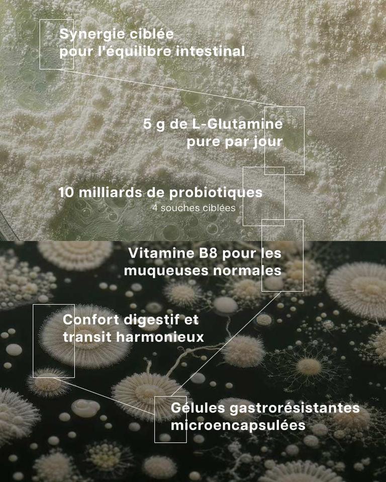 Pack Confort Intestinal - Programme 60 jours