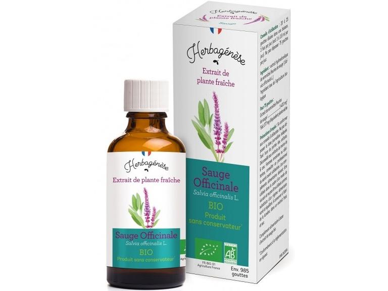 Sauge Bio Extrait de plante fraîche