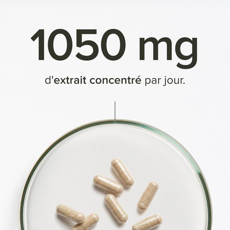 Cordyceps bio