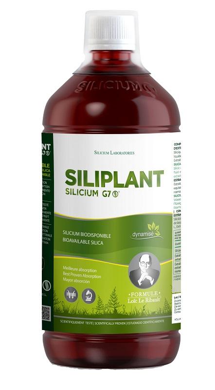 Silicium G7 Siliplant