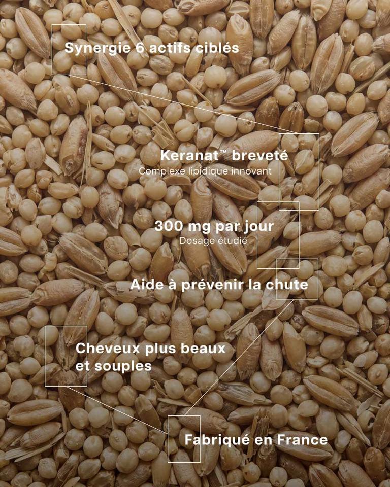 Complexe Chute de Cheveux