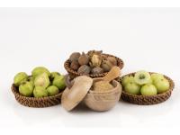 Triphala Bio