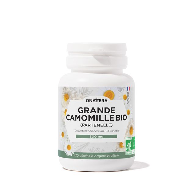 Grande Camomille Bio (Partenelle)
