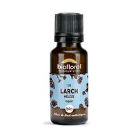 Fleur de Bach Larch n° 19 granules Bio