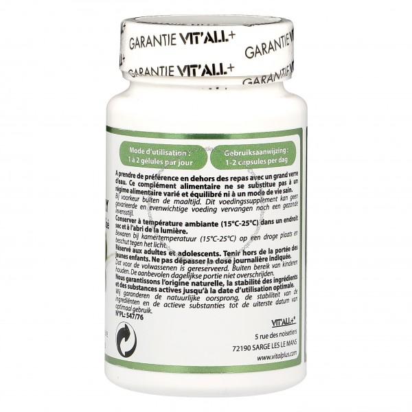 Cranberry extrait standardisé Bio 400 mg