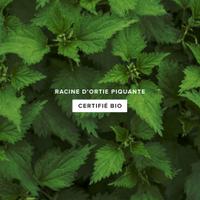 Ortie Piquante Racine Bio