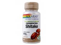 Shitake