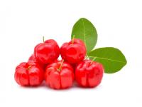 Acérola rouge Bio