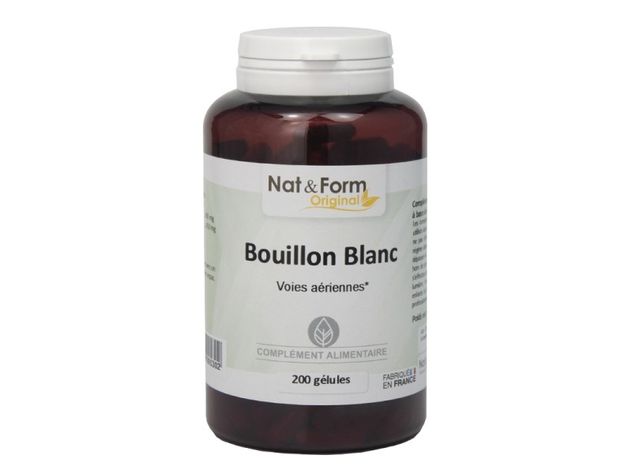 Bouillon blanc