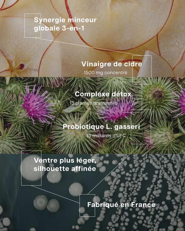 Pack minceur