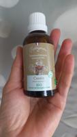 Cassis Bourgeons Bio