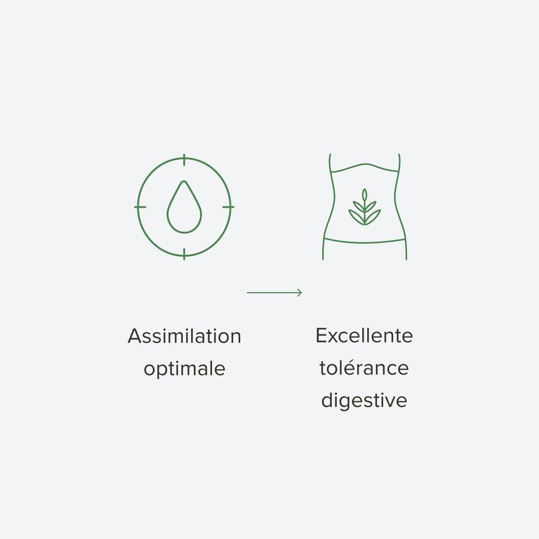 Citrate de magnésium 360mg