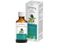Eleuthérocoque Bio Extrait de plante fraîche