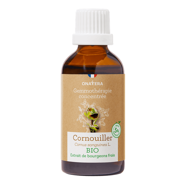 Cornouiller Bourgeons Bio