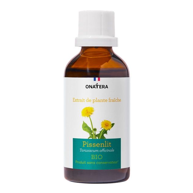 Pissenlit Bio Extrait de plante fraiche