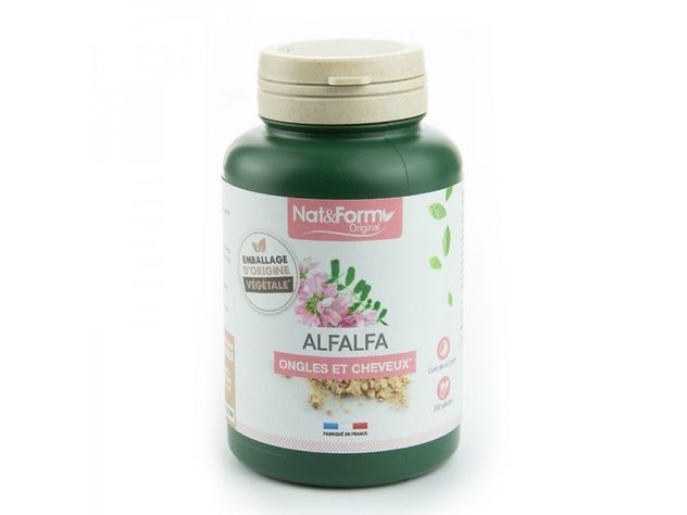 Alfalfa