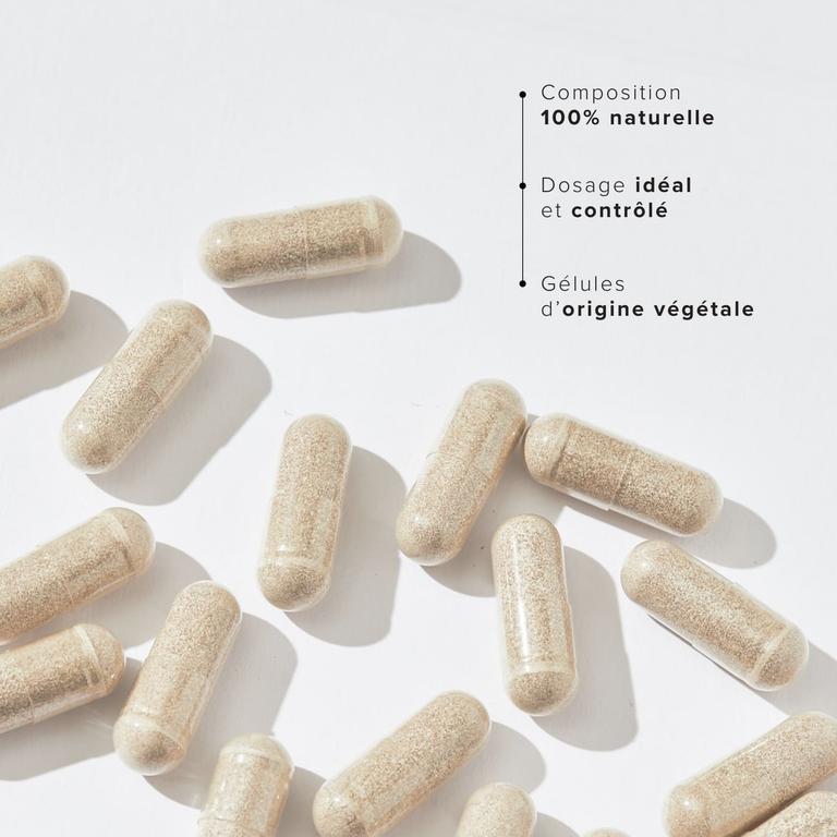 Chitosan