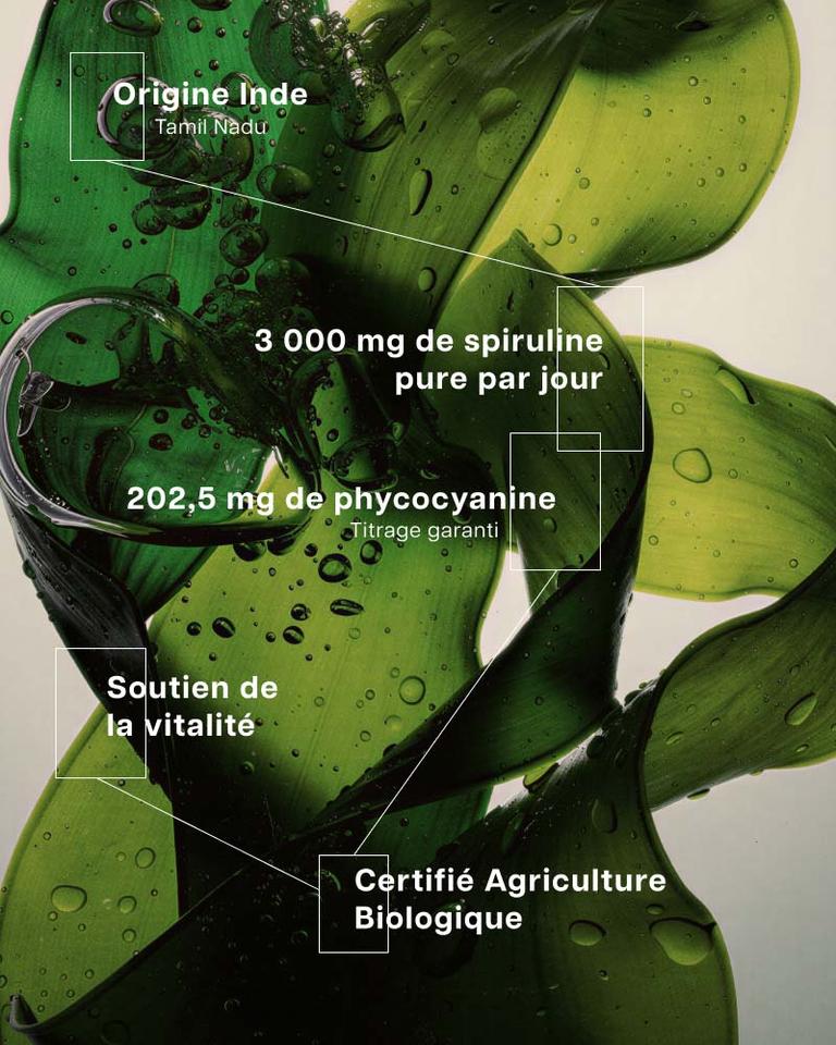 Spiruline bio Phyco+ Tamil Nadu
