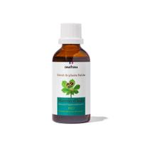 Marron d'Inde Bio Extrait de plante fraîche
