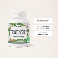 Ortie Piquante Racine Bio