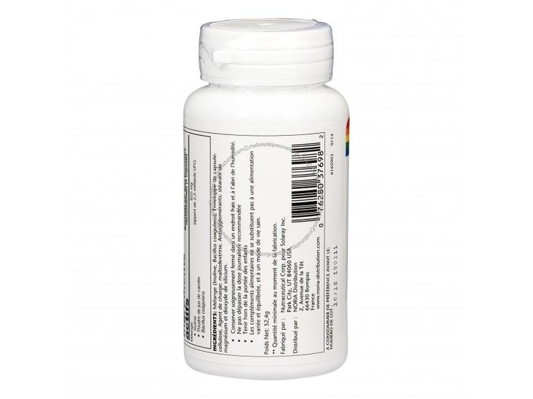Bacillus Coagulans et Inuline