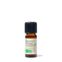 Huile essentielle Térébenthine Bio